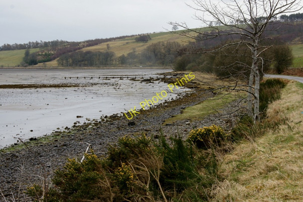 Photo 6"x4" Shore of Loch Fleet Badninish c2010