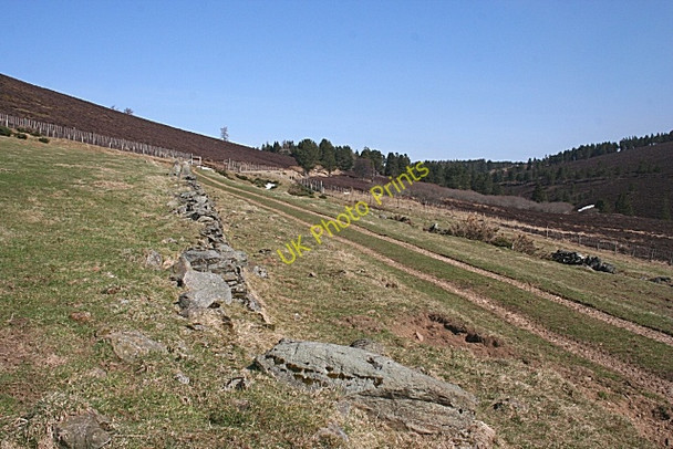 Photo 6"x4" On Roman Hill Kildrummy c2010