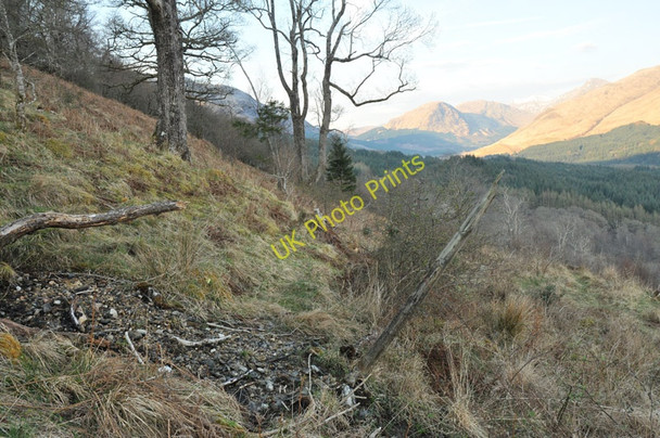Photo 6"x4" Remains of a fence on the slopes above Glen Creran Fasnacloich c2010
