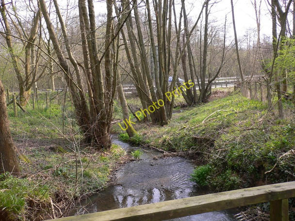 Photo 6"x4" Stream near Thursley Thursley c2010