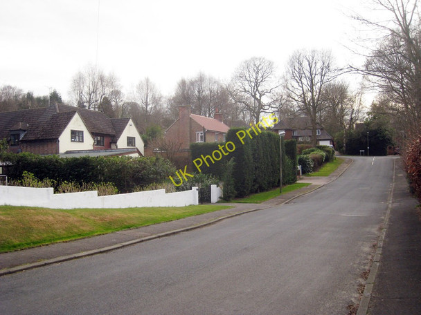 Photo 6"x4" The Rise Hubbard's Hill c2010