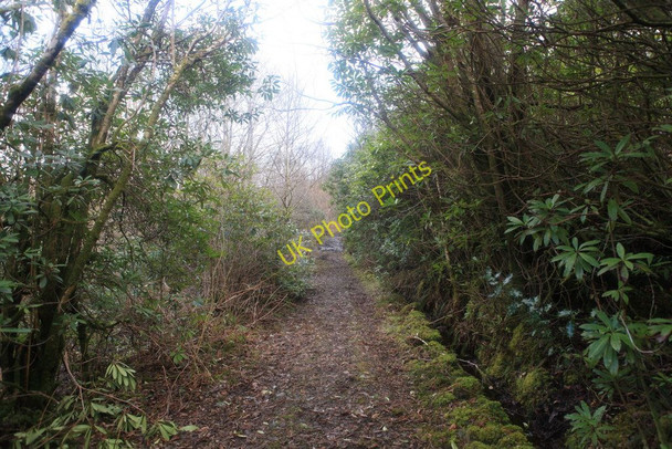 Photo 6"x4" Footpath from Loch Spelve to Ardura Strathcoil c2010