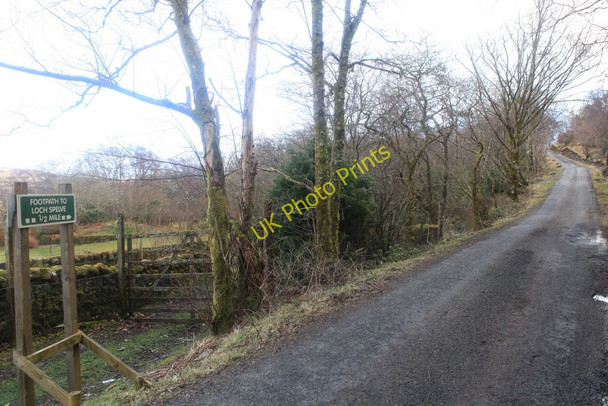 Photo 6"x4" Footpath to Loch Spelve Strathcoil c2010