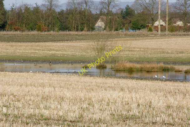 Photo 6"x4" Flooded field, Rosemount Coupar Angus c2010