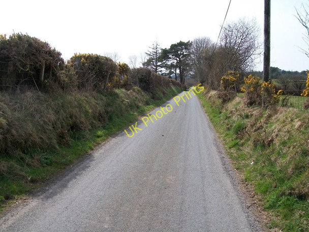 Photo 6"x4" The Sardis road east of Bryn-graianog Llangybi\/SH4241 c2010