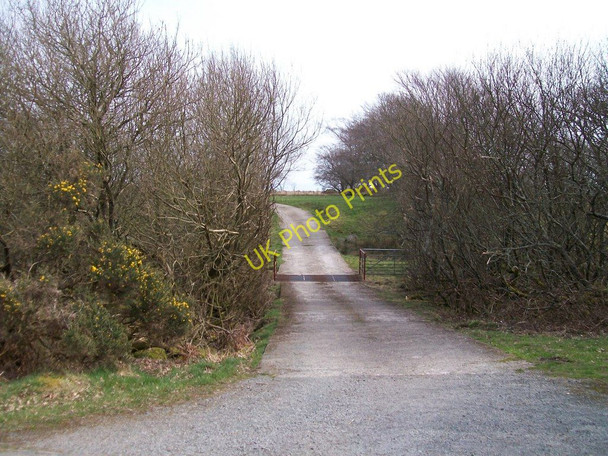Photo 6"x4" Farm road leading to Mynachdy Bach Llangybi\/SH4241 c2010