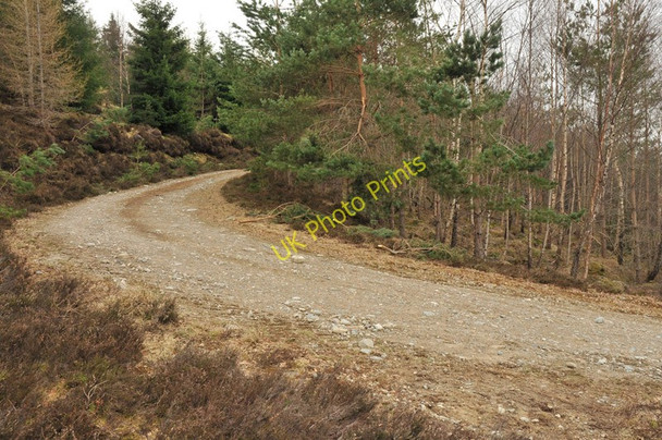 Photo 6"x4" Hairpin bend on the forest road Cromdale c2010