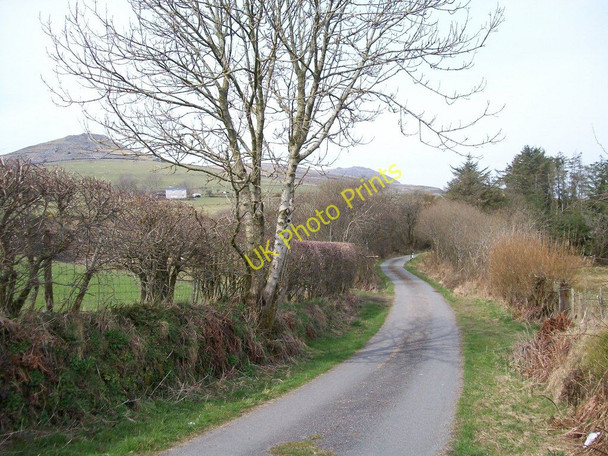 Photo 6"x4" View along the road towards the woodland plantation in the valley north of Efail Pensarn Llangybi\/SH4241 c2010