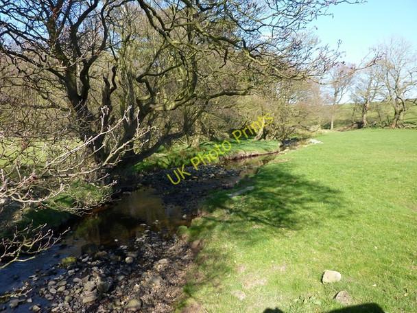 Photo 6"x4" Damas Gill Hampson Green c2010