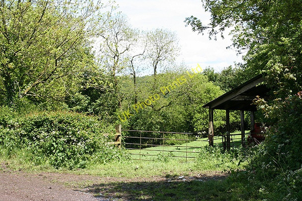 Photo 6"x4" Clayhidon: near Crosses Farm Mackham c2006
