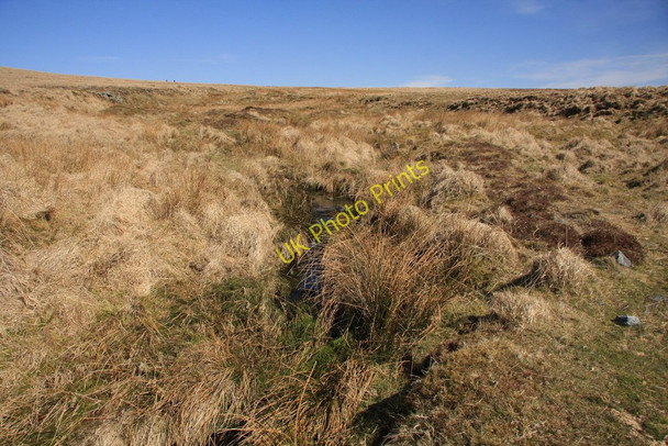 Photo 6"x4" Broadall Head Torr\/SX6160 c2010