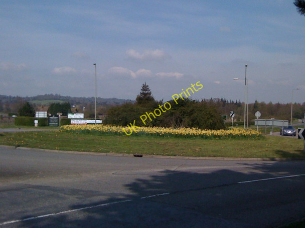 Photo 6"x4" Daffodils on the roundabout Dorking c2010