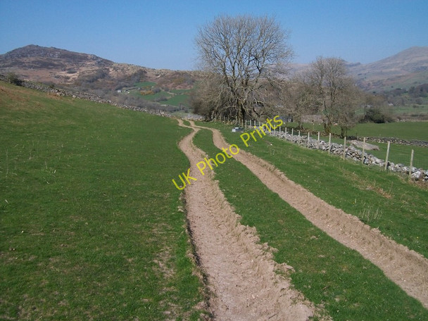 Photo 6"x4" Track  north towards Ysgubor Gerrig Dolbenmaen c2010