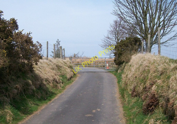 Photo 6"x4" Gate on the Mynachdy Gwyn lane Bwlch-derwin c2010