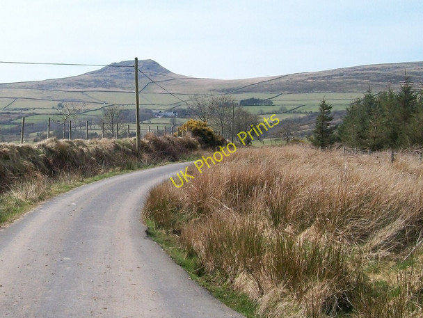 Photo 6"x4" View west at a bend in the Mynachdy Gwyn lane Bwlch-derwin c2010