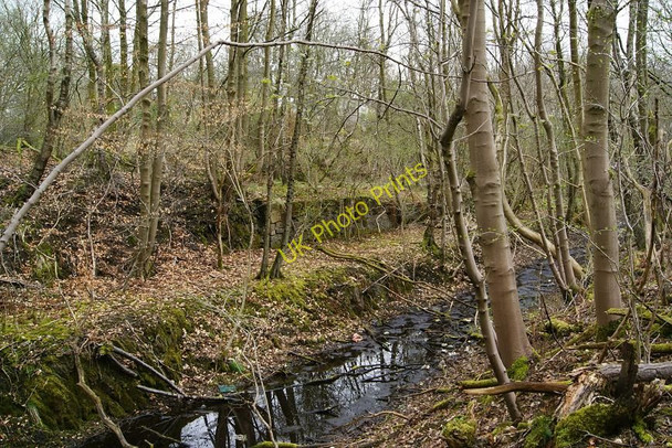 Photo 6"x4" Kilsyth and Bonnybridge Railway Kilsyth c2010