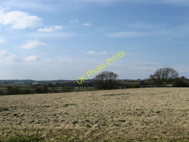 Photo 6"x4" Church Meadow Golden Cross\/TQ6310 c2010
