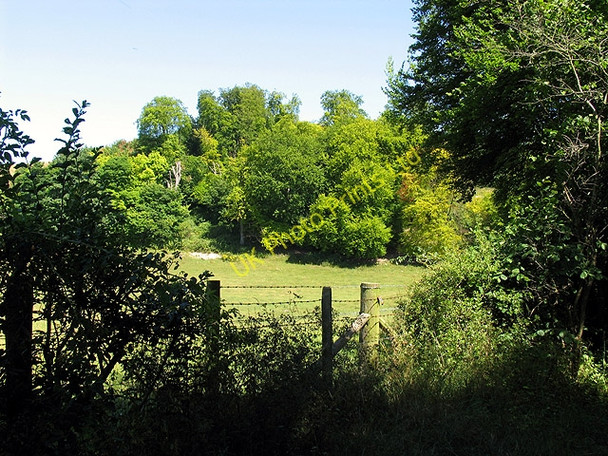 Photo 6"x4" Farmland Along the Thames Path: Whitchurch-on-Thames Lower Basildon c2005