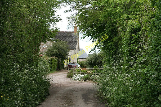 Photo 6"x4" Clayhidon: by the entrance to Great Garlandhayes Farm Garlandhayes c2006