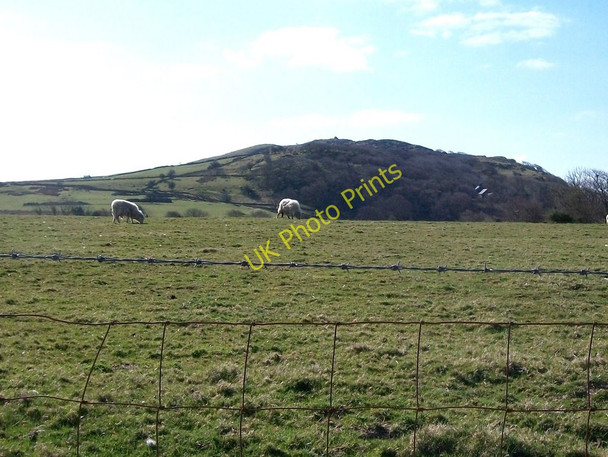 Photo 6"x4" Sheep pastures south of the Cwm 'Strallyn road Golan c2010