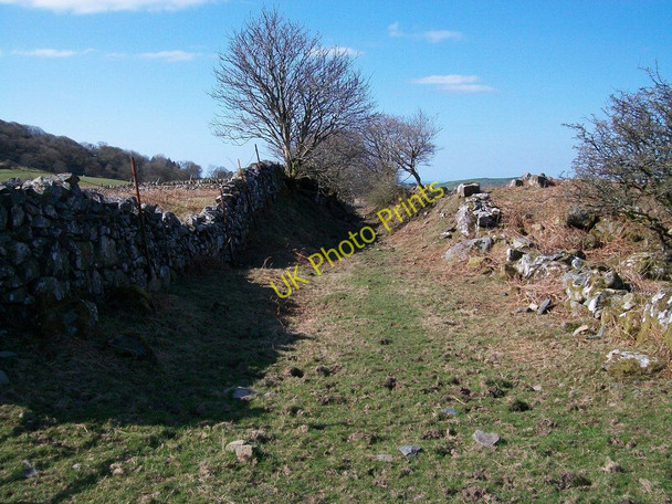 Photo 6"x4" View south along the former track bed of the Gorseddau Tramway Golan c2010