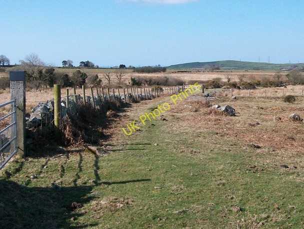 Photo 6"x4" View west along the former Gorseddau Tramway Golan c2010