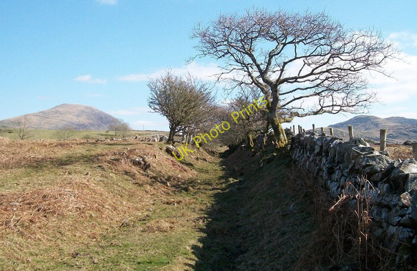 Photo 6"x4" View north-eastwards through a shallow cutting on the former Gorseddau Tramway Golan c2010