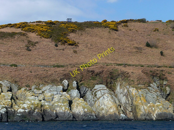 Photo 6"x4" Gob ny How Dhoon\/SC4586 c2010