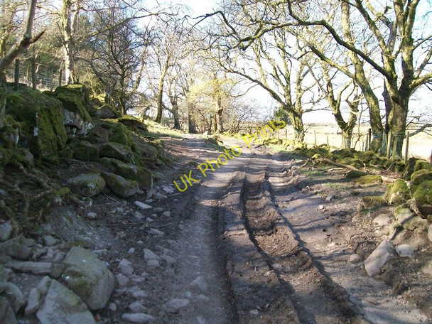 Photo 6"x4" Rutted track east of Gesail Gyfarch farmhouse Penmorfa\/SH5440 c2010