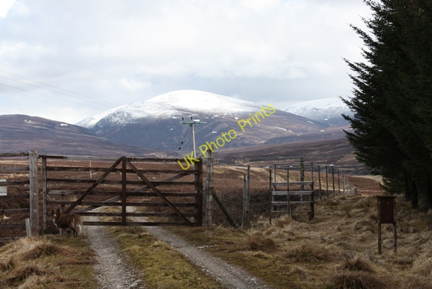 Photo 6"x4" Entrance to Caochan Wood Dalwhinnie c2010