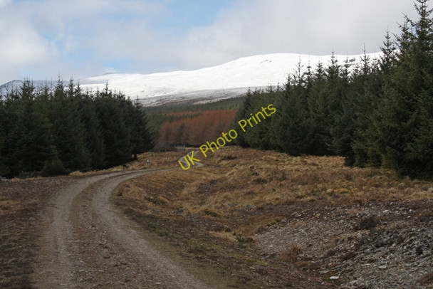 Photo 6"x4" Track in Caochan Wood Dalwhinnie c2010