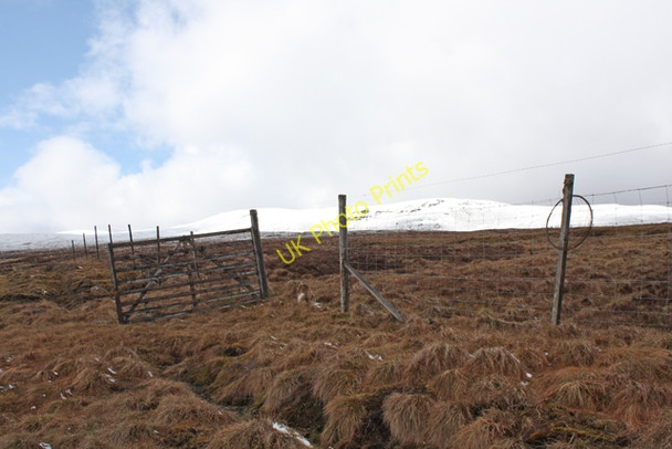 Photo 6"x4" Deer fence and gate, Caochan Wood Dalwhinnie c2010