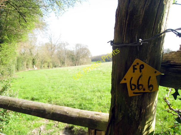 Photo 6"x4" Footpath 666 Cowden\/TQ4640 c2010