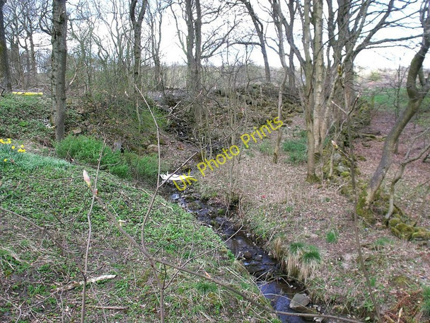 Photo 6"x4" Bogstank Burn Cumbernauld c2010