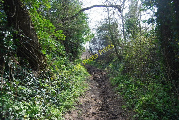Photo 6"x4" Bridleway to Alfriston Winton\/TQ5203 c2010