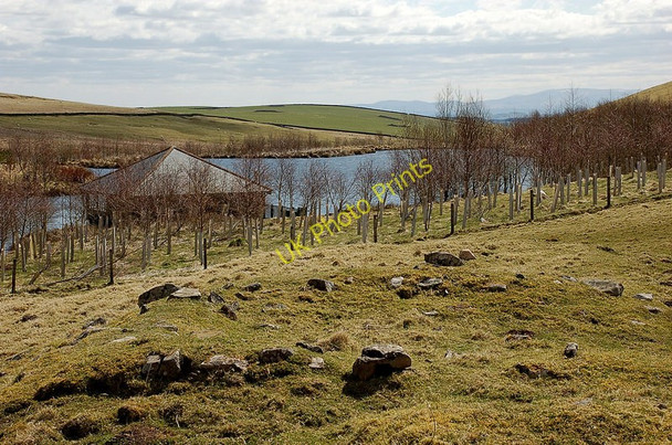 Photo 6"x4" Pond and boathouse Blythe c2010