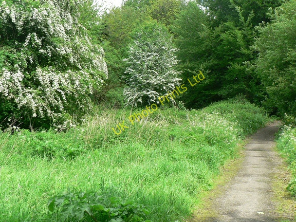 Photo 6"x4" Path to Kirkstall Road from the Goit, Kirkstall, Leeds Kirkstall c2006