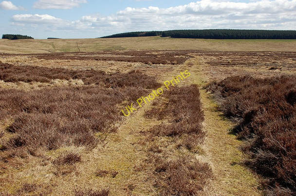 Photo 6"x4" Track descending Williston Rig Blythe c2010