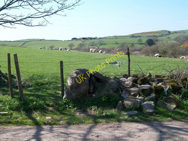 Photo 6"x4" Sheep pastures west of Eglwys Ynyscynhaearn Criccieth c2010