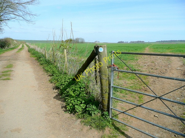 Photo 6"x4" Track and footpath Milton Green\/SX4078 c2010