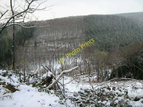 Photo 6"x4" Brechfa Forest in the snow Nant-y-ff\u00een\/SN5532 c2010