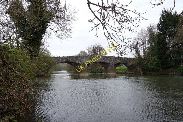 Photo 6"x4" Taddiport Bridge on the river Torridge as seen from downstream Great Torrington c2010