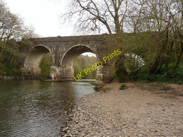 Photo 6"x4" Rolle Bridge on the river Torridge as seen from downstream Great Torrington c2010
