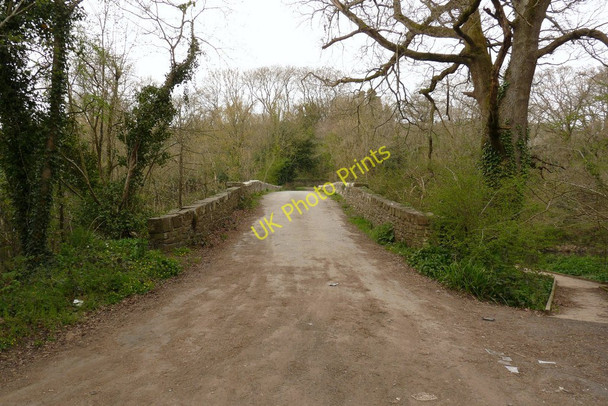 Photo 6"x4" Rothern Bridge on the river Torridge Great Torrington c2010 P1