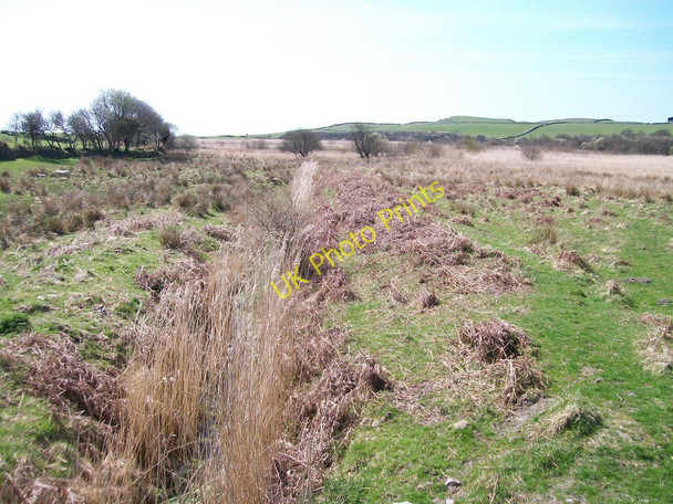 Photo 6"x4" Drainage ditch in the Ystumllyn fen Criccieth c2010
