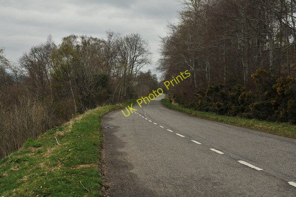 Photo 6"x4" B852 on the shore of Loch Ness Dores c2010