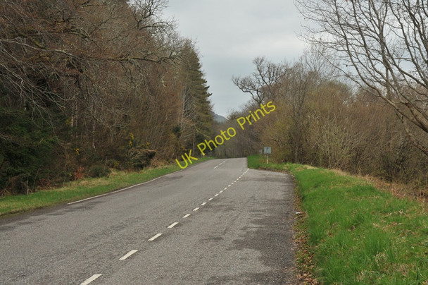 Photo 6"x4" B852 near Erchite Wood Balchraggan\/NH5634 c2010