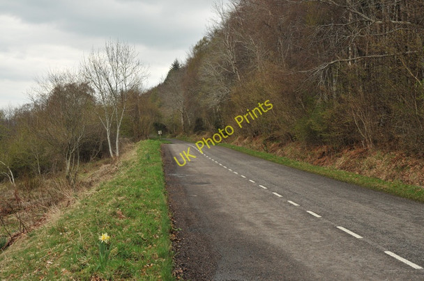 Photo 6"x4" B852 on the shore of Loch Ness Strone\/NH5228 c2010