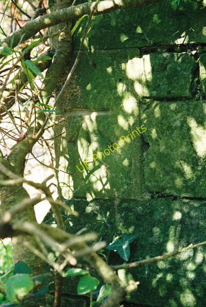 Photo 6"x4" Shanklin, St Saviours Church Shanklin c2010