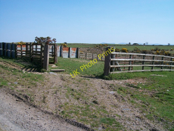 Photo 6"x4" Corlan Ddefaid\/Sheepfold on Mynydd Ednyfed Criccieth c2010